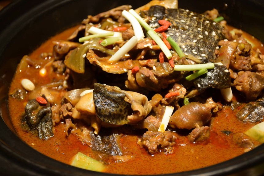 潢川甲鱼_信阳百花会展中心