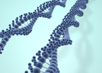 脂肪組織透射電鏡取材實(shí)驗(yàn)注意事項(xiàng)