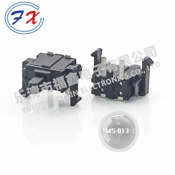 MS-013.jpg