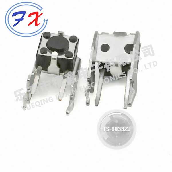 TS-6033ZJ.jpg