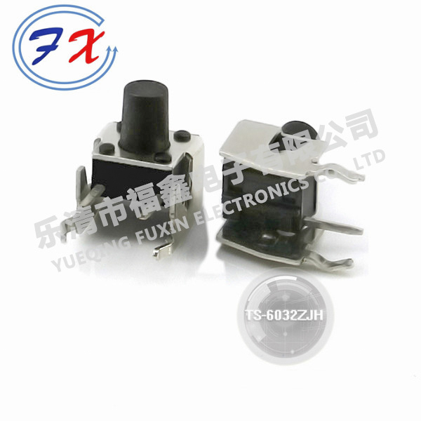 TS-6032ZJH.jpg