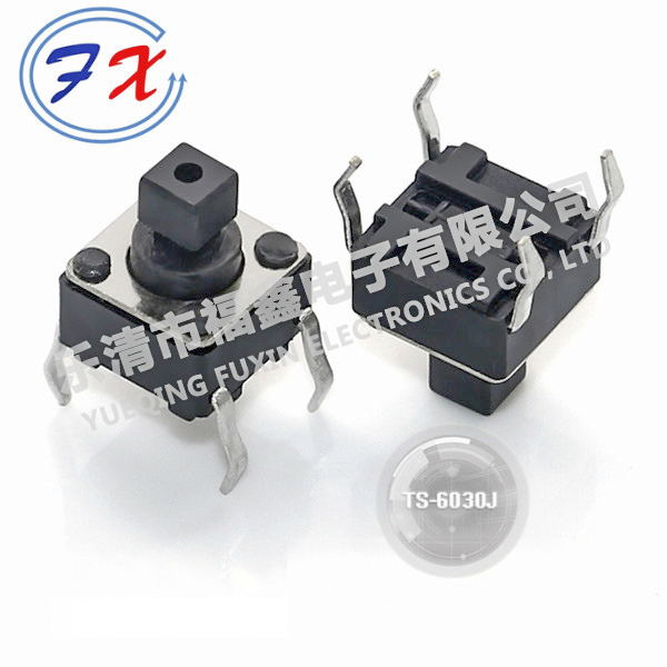 TS-6030J.jpg