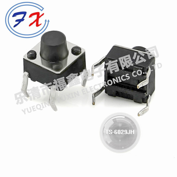 TS-6029JH.jpg