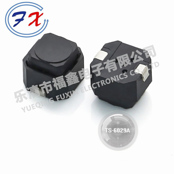 TS-6029A.jpg