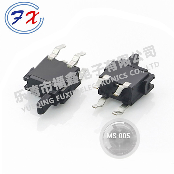 MS-005.jpg
