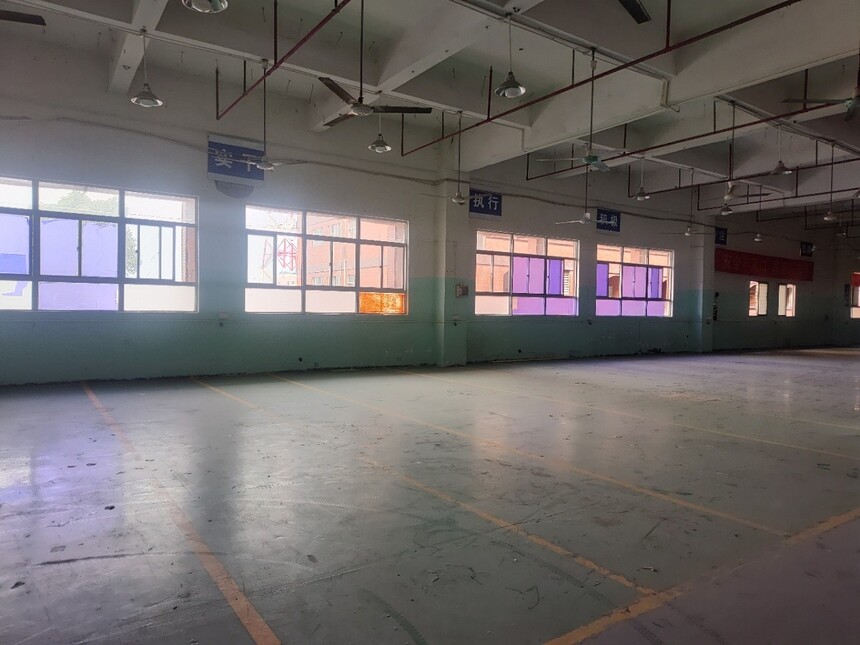ڲ2.jpg