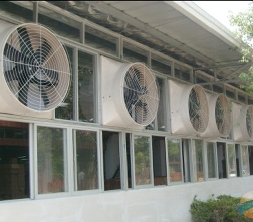 img03.jpg