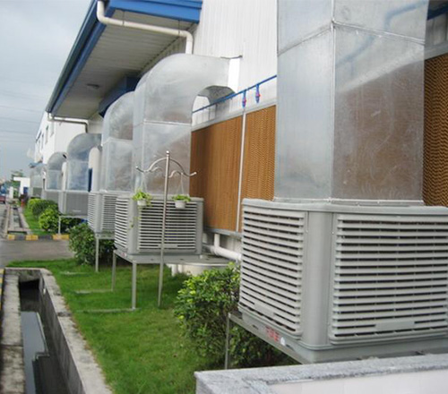 img05.jpg