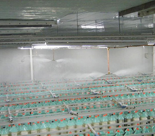 img14.jpg