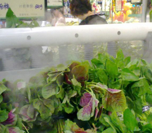 img05.jpg