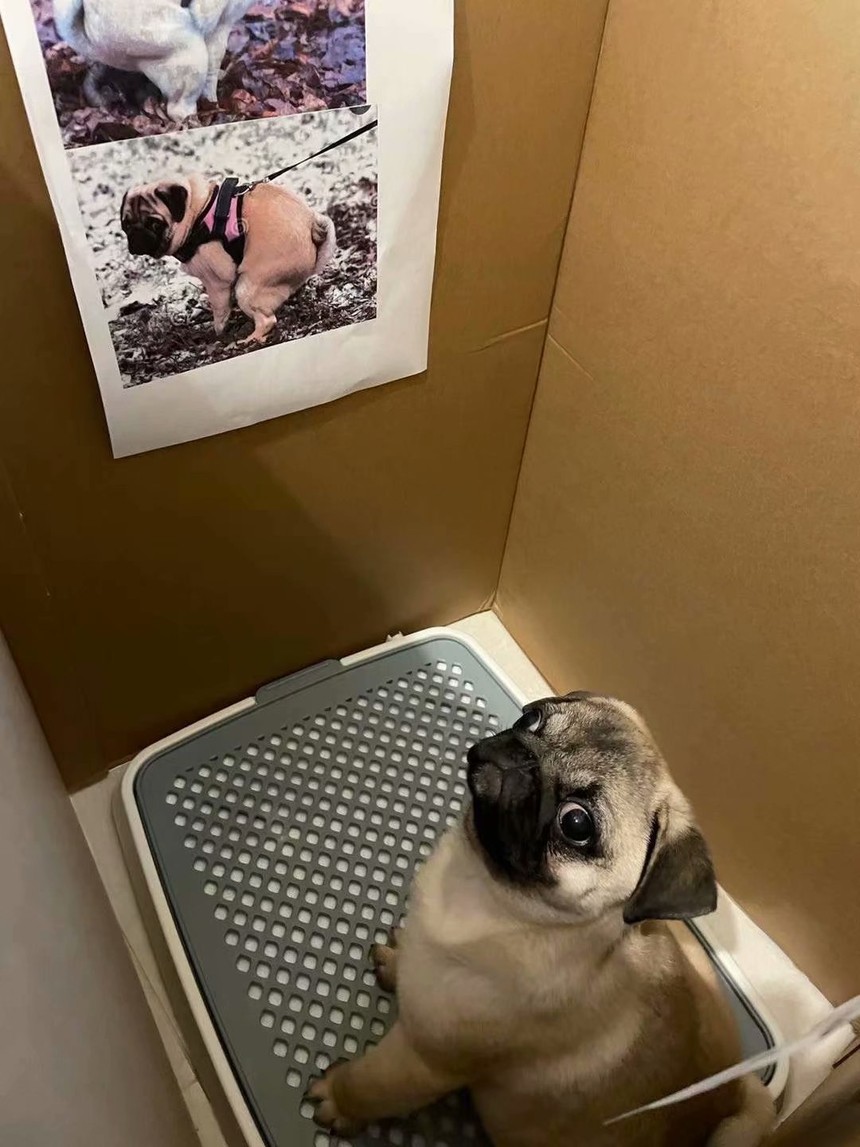 psc (2).jpg