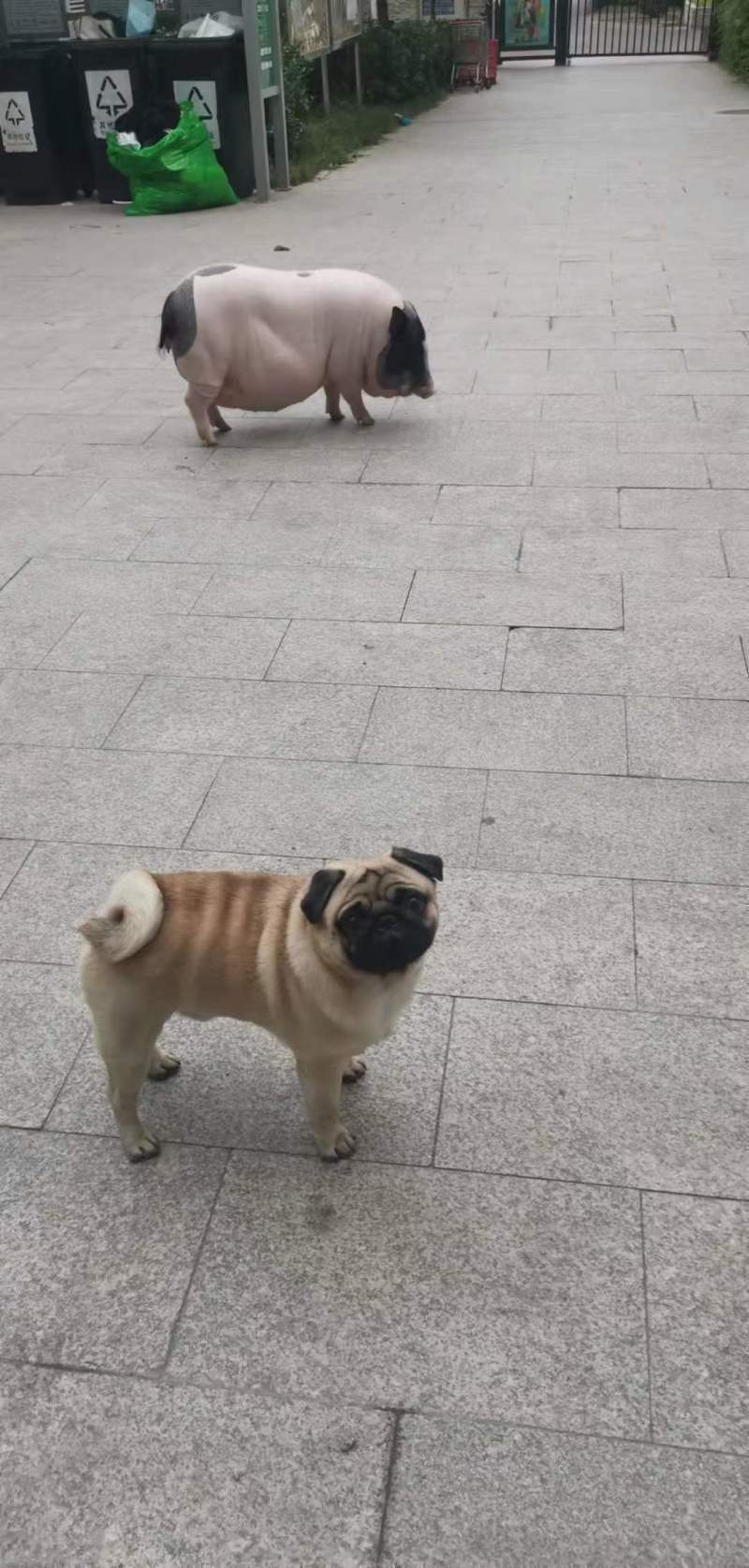 800.jpg
