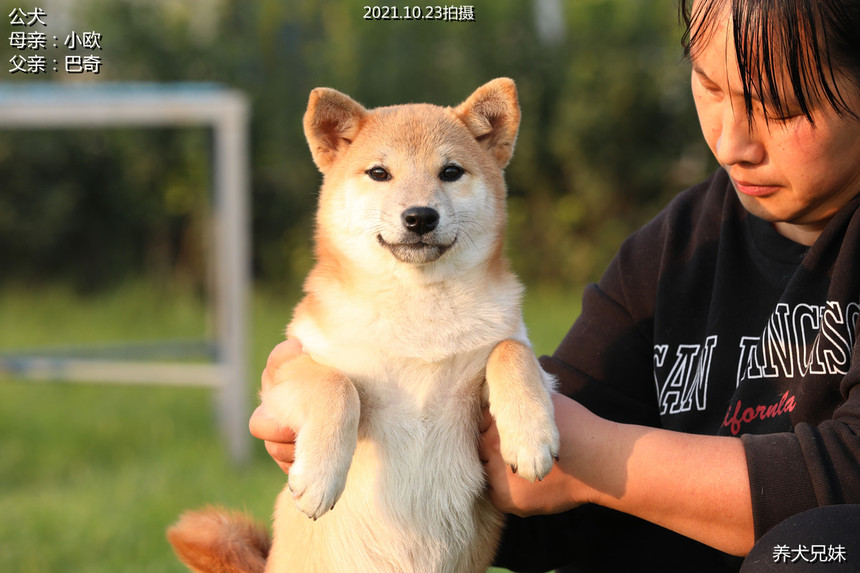H56A1784_副本.jpg