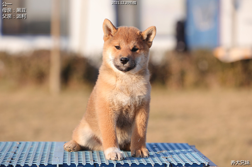 H56A5617_副本.jpg