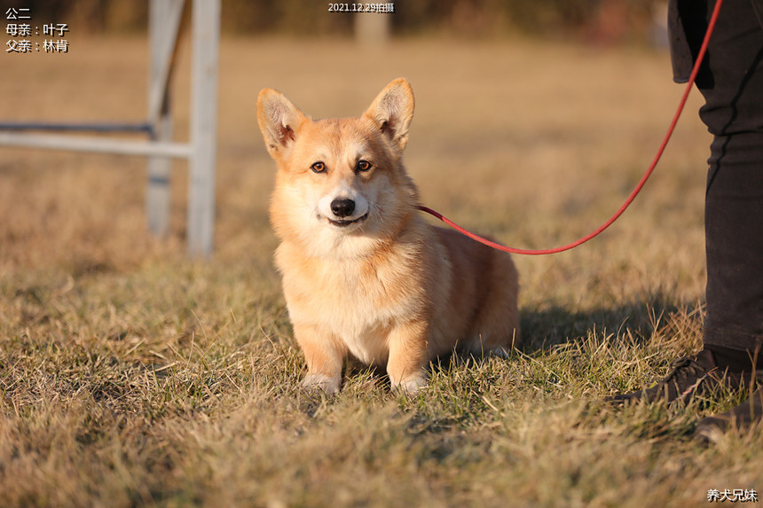 H56A5637_副本.jpg