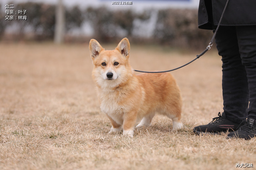 H56A8066_副本.jpg