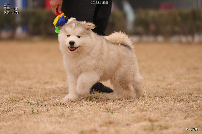 H56A7912_副本.jpg