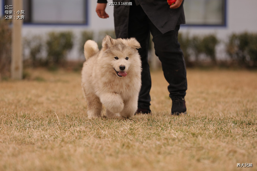 H56A9598_副本.jpg