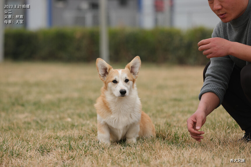 H56A6978_副本.jpg