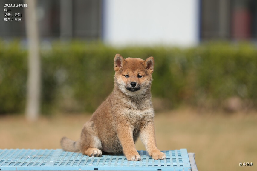 H56A7812_副本.jpg