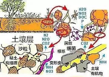 d079753b231cb735c3ac00426fd0b433.jpg