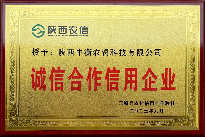 01.jpg