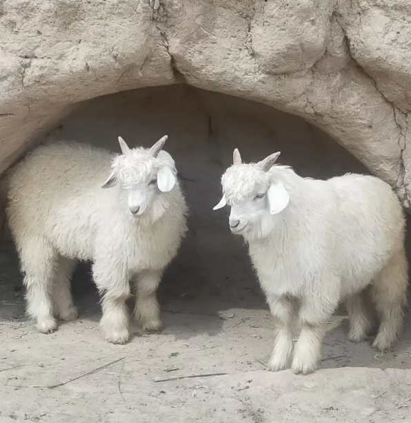 ΢ňDƬ_20240314141516.png