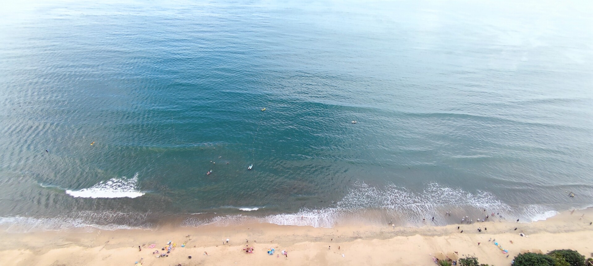 1686901896182123.jpg