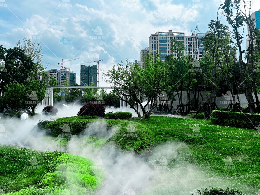 1702621086750424.jpg 4.jpg