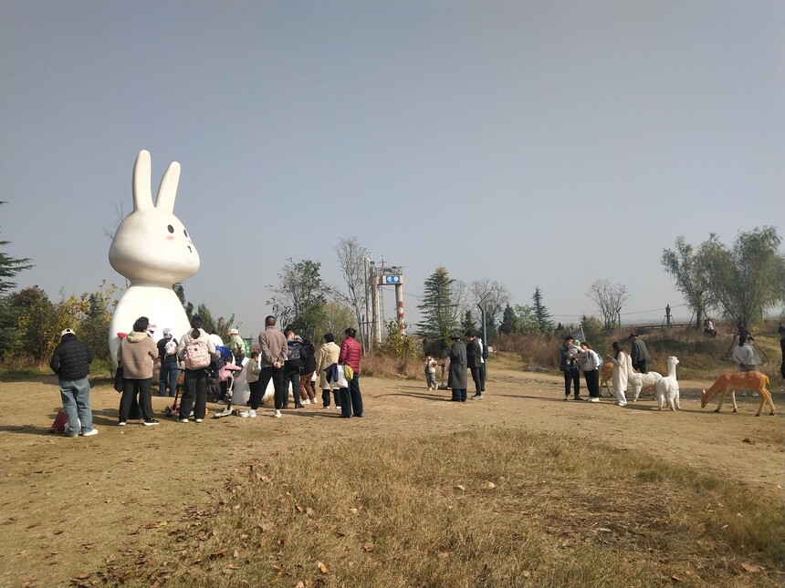 河南新市民：踏访黄河岸 感悟历史魂 —— 青年学子黄河研学实践 ...