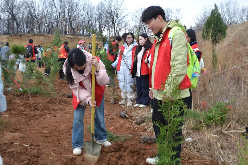 ���������񣺲�����Ը�����ɳ�2026����������ֲ���ж�