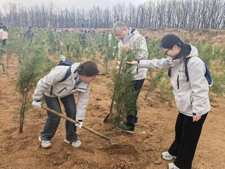 ���������񣺲�����Ը�����ɳ�2026����������ֲ���ж�