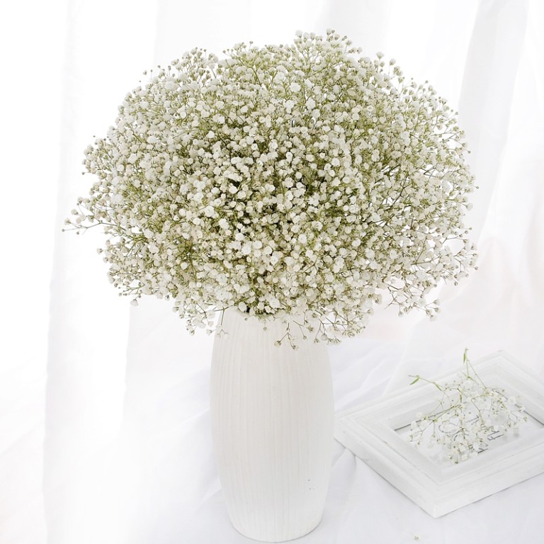 3d722ead-a70a-4b5b-bd98-719ddc304881.jpg