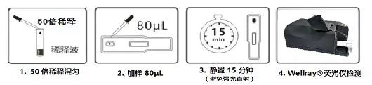 I¶11.jpg