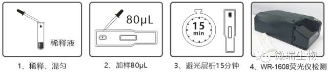 病毒O型··.jpg