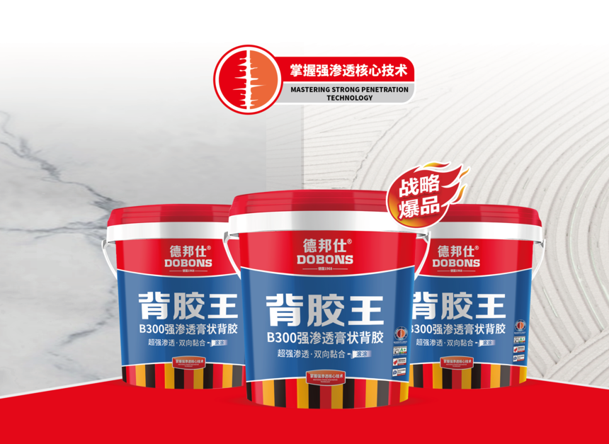 1756111295715311.png 德邦仕招商手册0601_画板 1 副本 12.png