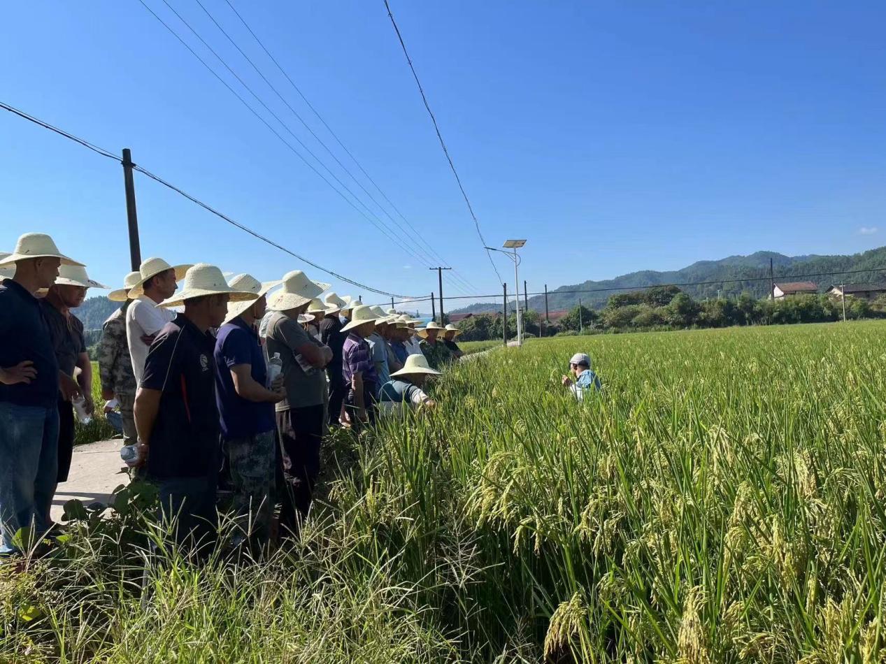 2022年邵武市高素质农民培训杂交水稻制种培训班(大竹镇班)顺利开班