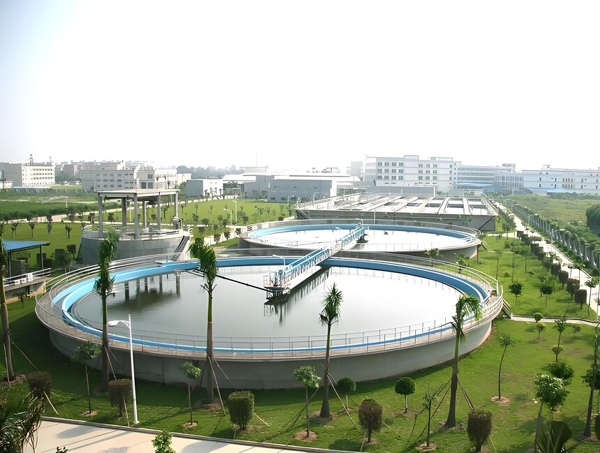 1758072197707706.jpg 1f45dd0d-5173-471e-920b-71b2192efb6d.jpg