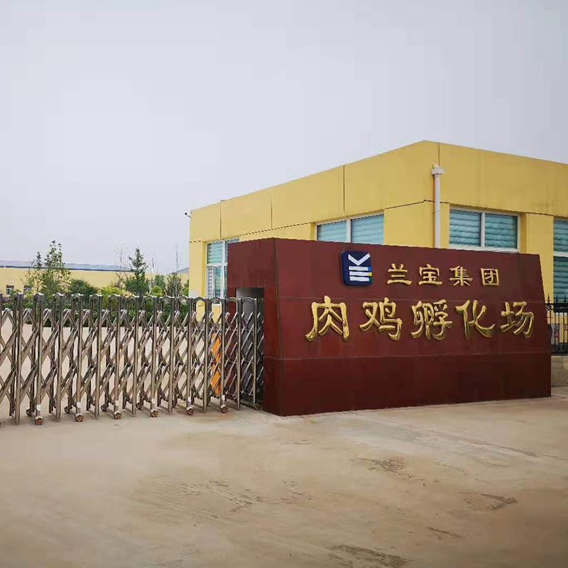 �m�����F���u������.png