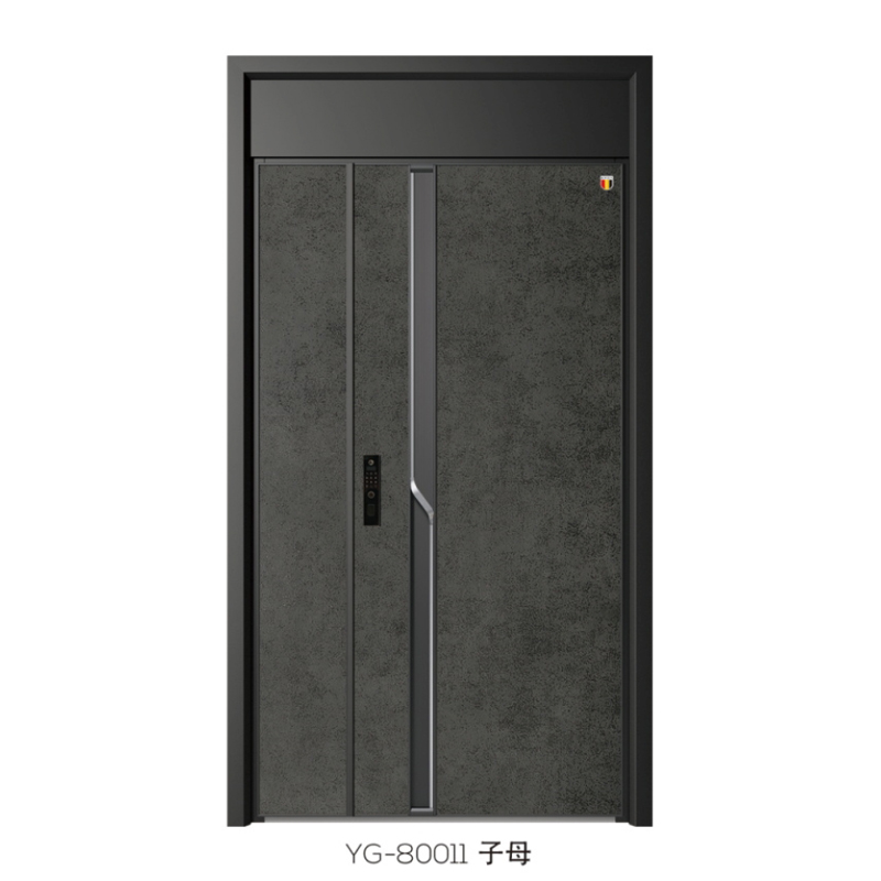 2YG-80011��ĸ.jpg