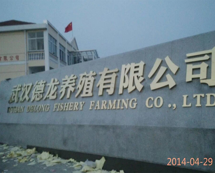 1555049962454788.jpg