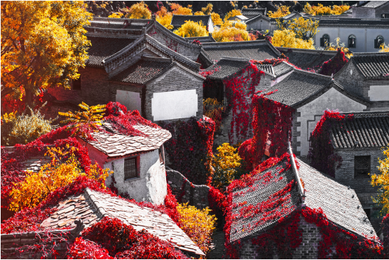 QQ圖片20211019172704.png