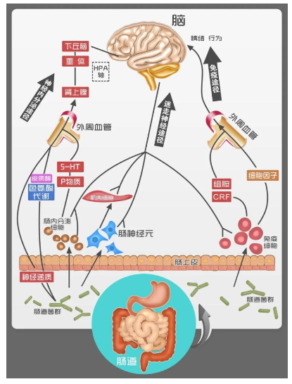 QQ图片20230628134116.png