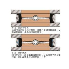 5849517_1622021454.jpg