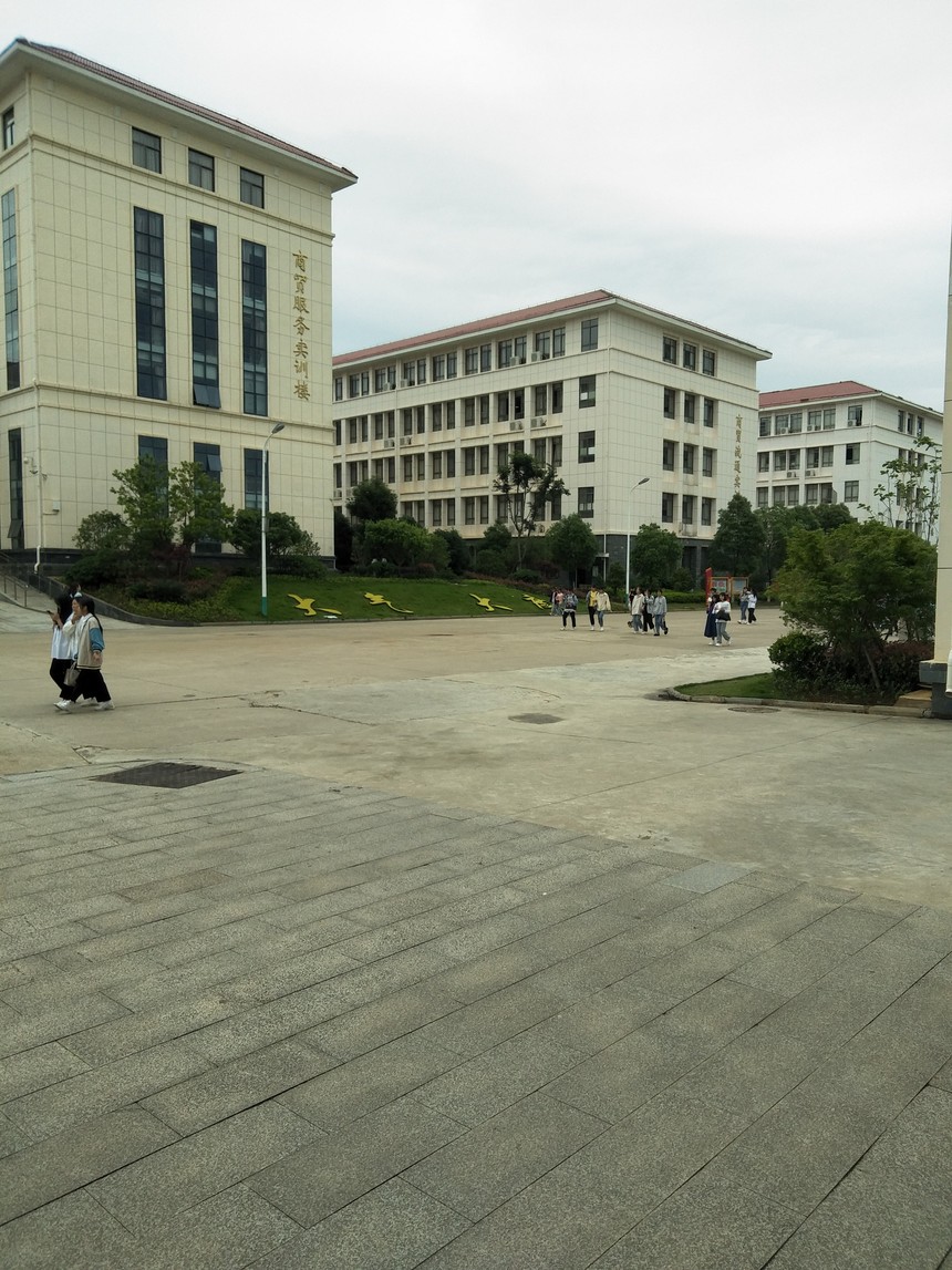 IMG20210517120815.jpg