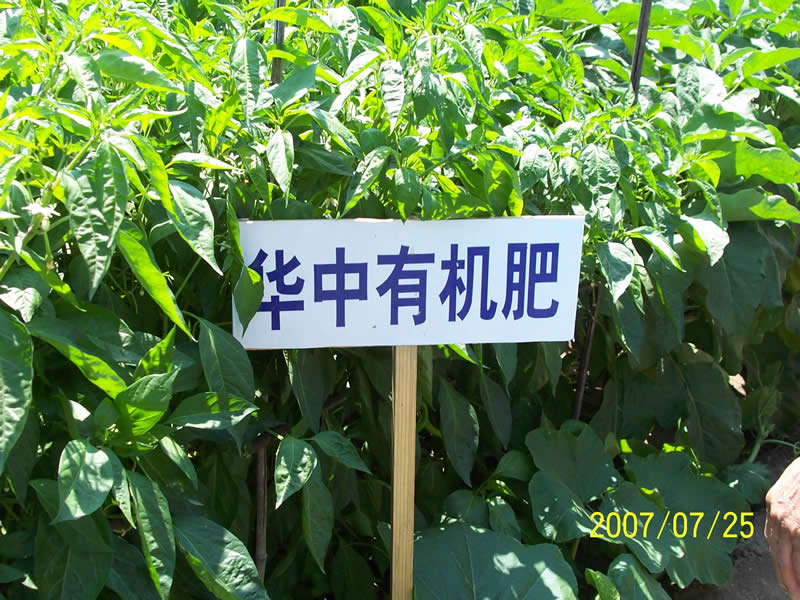 ũлֲʾ.JPG