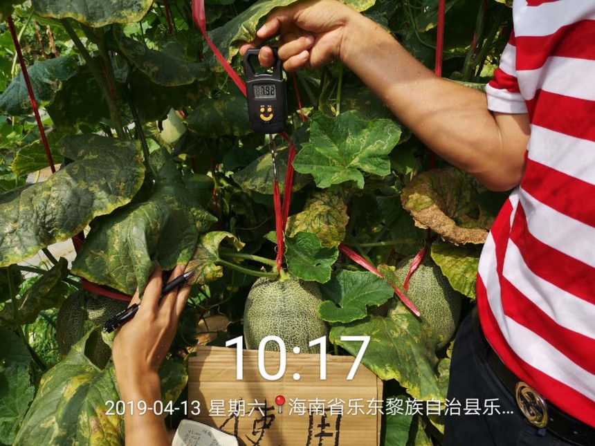 1621998111149957.jpg