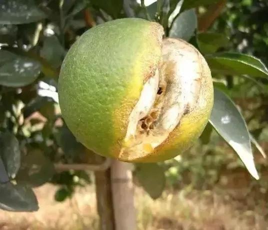 5.JPG