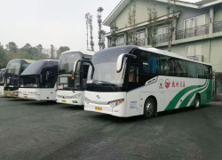 大型活動(dòng)現(xiàn)場(chǎng)實(shí)拍