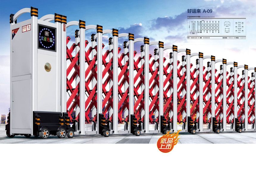 19-\-A-09--3.jpg